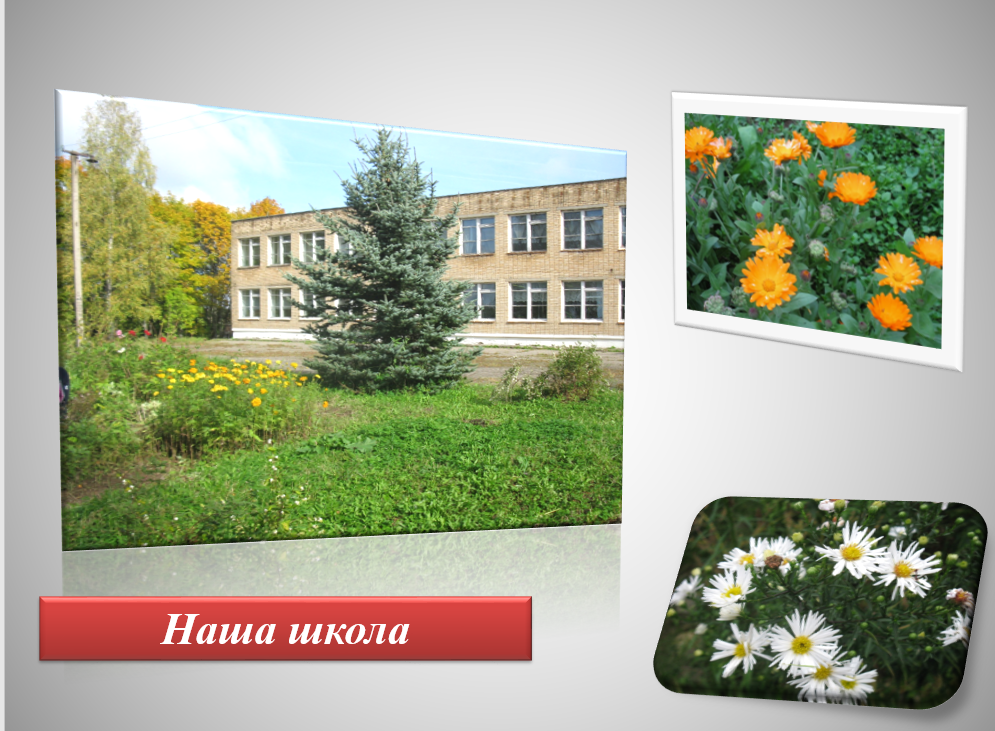 МБОУ Хмелитская СОШ Вяземского района Смоленской области